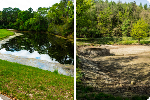 Detention v. Retention Pond