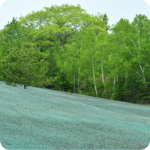 Hydroseeding and hydromulching