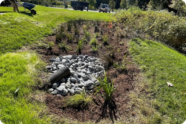 Wetlands forebay