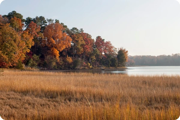 Fall Stormwater Maintenance Checklist