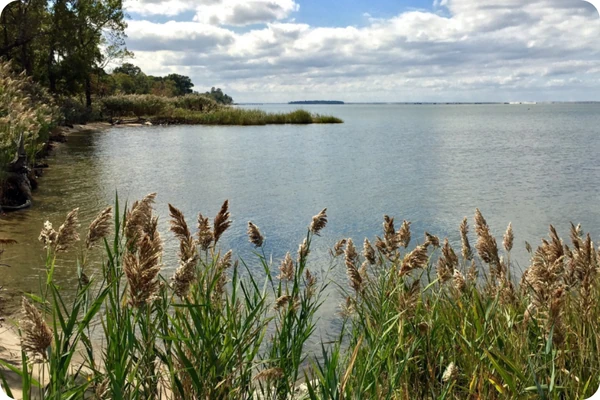 Stormwater Runoff and the Chesapeake Bay