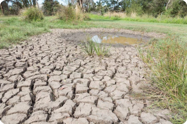 Drought and Stormwater