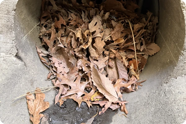 Stormwater Pipe Blockage