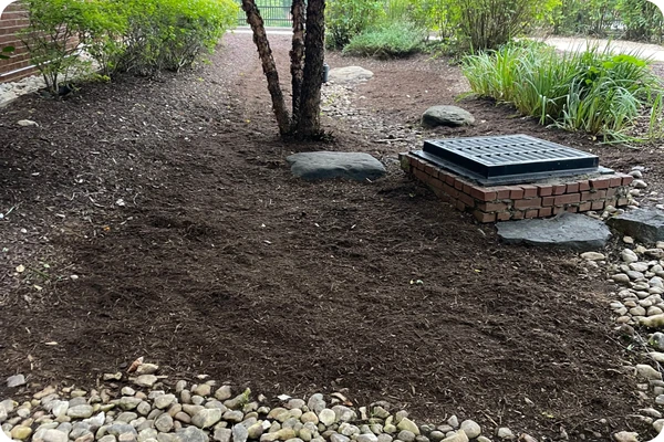 Stormwater Infiltration vs Filtration