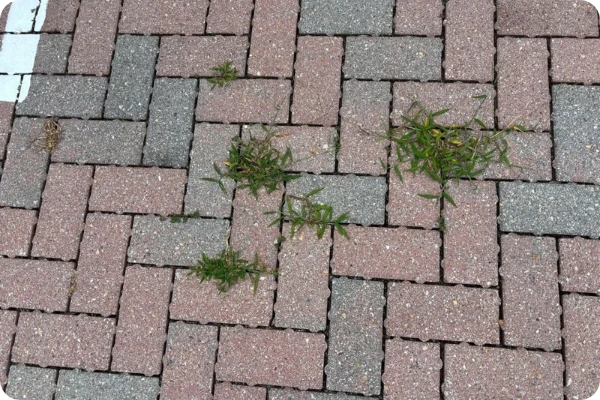 Permeable Pavement Clog