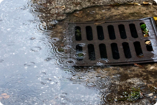 Water Around Storm Drain